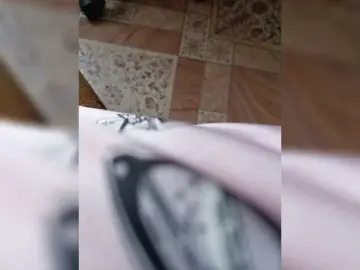 Bongacams Adult Video Chat of ZaraSss