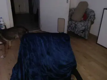 Bongacams Free Live Porn of RacyRoby