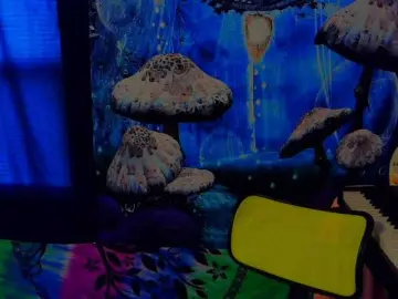 Bongacams Adult Webcams of stormythunder