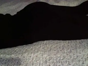 Bongacams Best Webcam of liZAAAZ