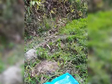 Bongacams Live Porn of Ninfa-88