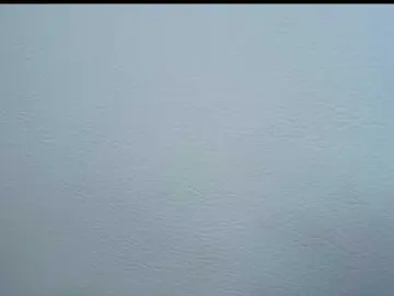 Bongacams Live Sex Cam of Octaviarouse