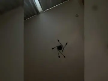 Bongacams Free Porn Cam of HardLove