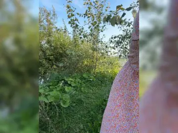 Bongacams Best Webcam of Svetochekk