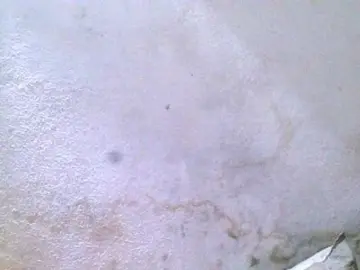 Bongacams Best Webcam of Sylivinaahh