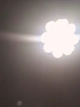 Cam4 Nude Webcam of mica224