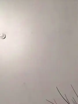 Cam4 Best Webcam of mica224