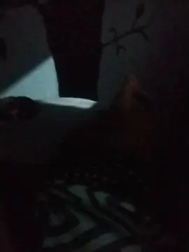 Cam4 Live Sex of Simpatikdmonia