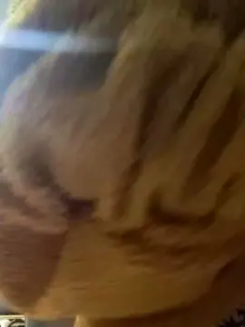 Cam4 Live Porn of Javieritaaa28