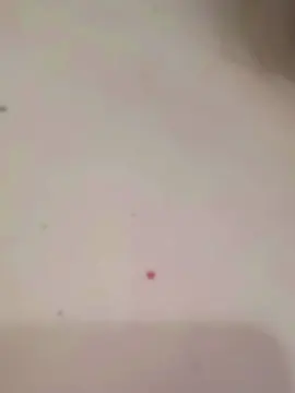 Cam4 Best Webcam of BBruna1999