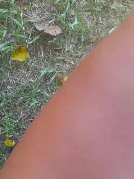 Cam4 Adult Video Chat of Gataonlyxx