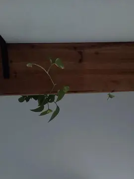 Cam4 Free Porn Cam of azul420_hot4