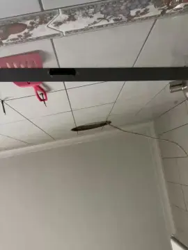 Cam4 Free Live Porn of Loiradevassa