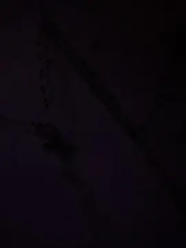 Cam4 Best live sex cam show of kitten__baby213