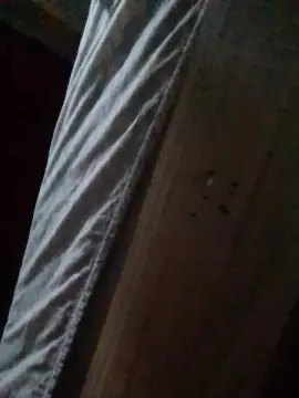 Cam4 Best Webcam of Yeni2433