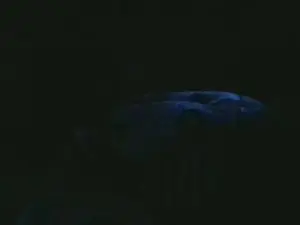 Cam4 Live Sex of veronica3228