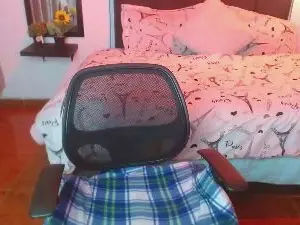 Cam4 Free Porn Cam of Dominik_girl