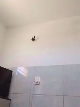 Cam4 Private Sex Chat of Gabi_loira