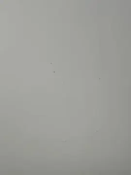 Cam4 Live Sex Cam of Isabloo1