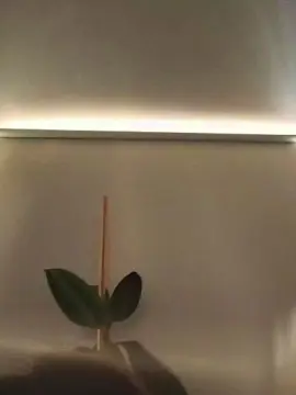 Cam4 Sex Chat of Babycaalientee