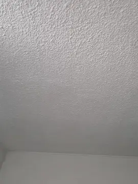 Cam4 Live Sex of Pxnchi1999