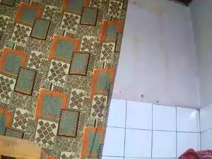 Cam4 Adult Webcam of Nataach29