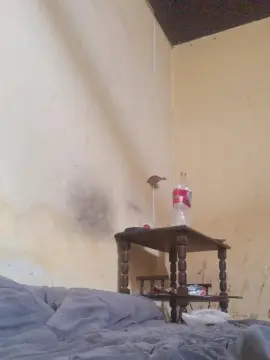 Cam4 Adult Webcam of Blancanieves32