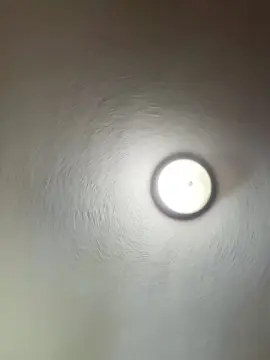 Cam4 Live Sex Cam of shimomm