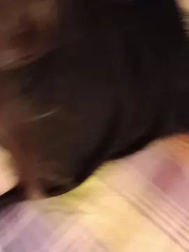 Cam4 Best live sex cam show of Lacoppia9679