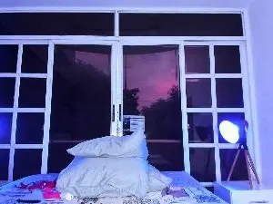 Cam4 Adult Webcams of AvaWhiite