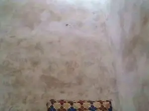 Cam4 Sex Chat of Queen_grasha