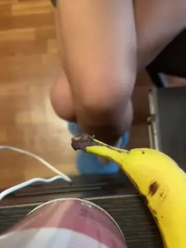 Cam4 Nude Webcam of AngelinaKis