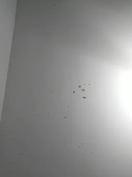 Cam4 Live Porn of kittenhorny