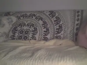 Cam4 Live Porn of 69diorHot