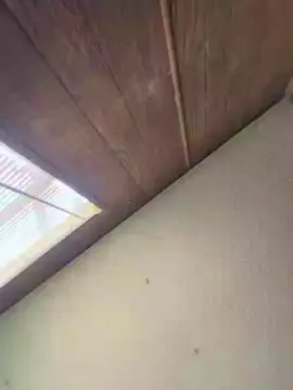 Cam4 Live Sex Cam of Cosmic_sunshine