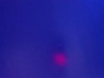 Cam4 Adult Webcam of 1800fuckyu