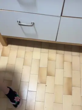 Cam4 Nude Webcam of Johnna692