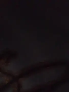 Cam4 Best Webcam of AmandaAS