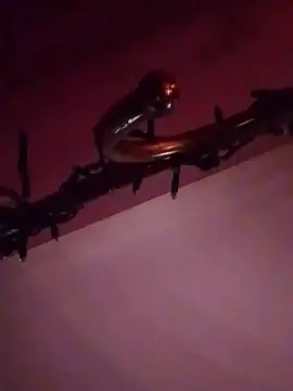 Cam4 Watch Live Sex Cams of Zoccoletta1