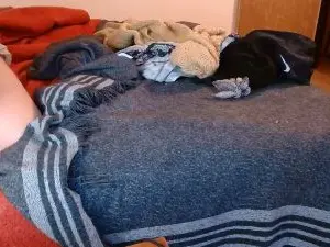 Cam4 Best live sex cam show of sexynestor