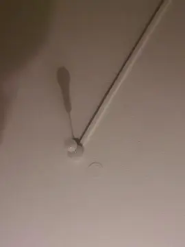 Cam4 Adult Webcam of 32DDS