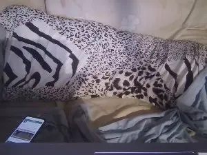 Cam4 Sex Cam of Secretsky