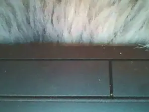 Cam4 Live Sex Cam of Dessidawnn