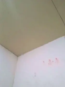 Cam4 Private Sex Chat of Mamissonga