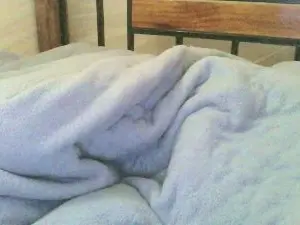 Cam4 Adult Webcams of cute_shantel