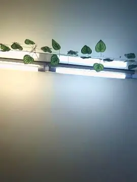 Cam4 Live Sex Cam of namibel