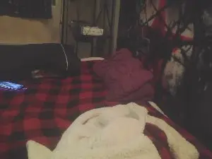 Cam4 Sex Chat of JANININA