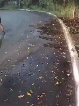 Cam4 Adult Webcams of pregnanhot