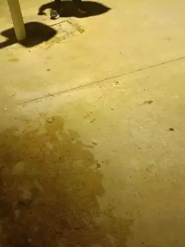 Cam4 Private Sex Chat of pregnanhot