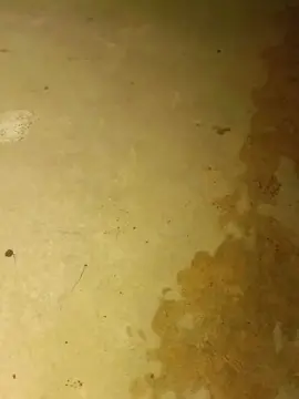 Cam4 Best Webcam of pregnanhot